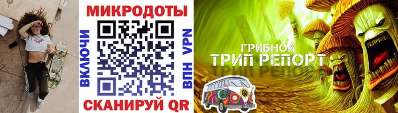 Галлюциногенные грибы ЛСД  Павловская 